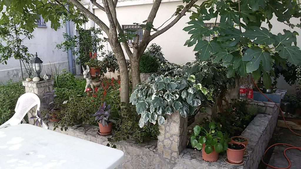 Guest House Mirza Mostar Eksteriør billede